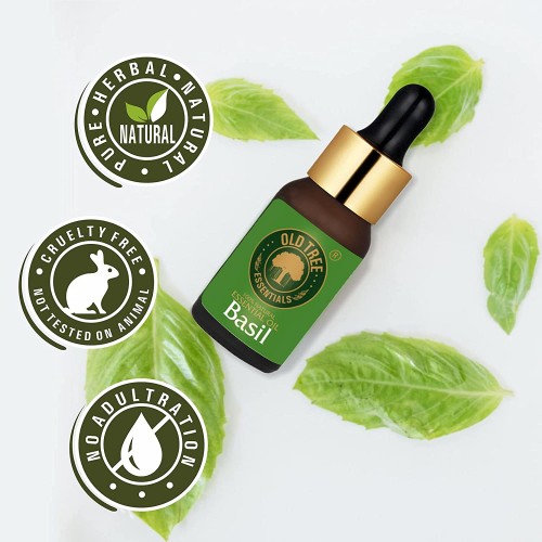 Basil oil